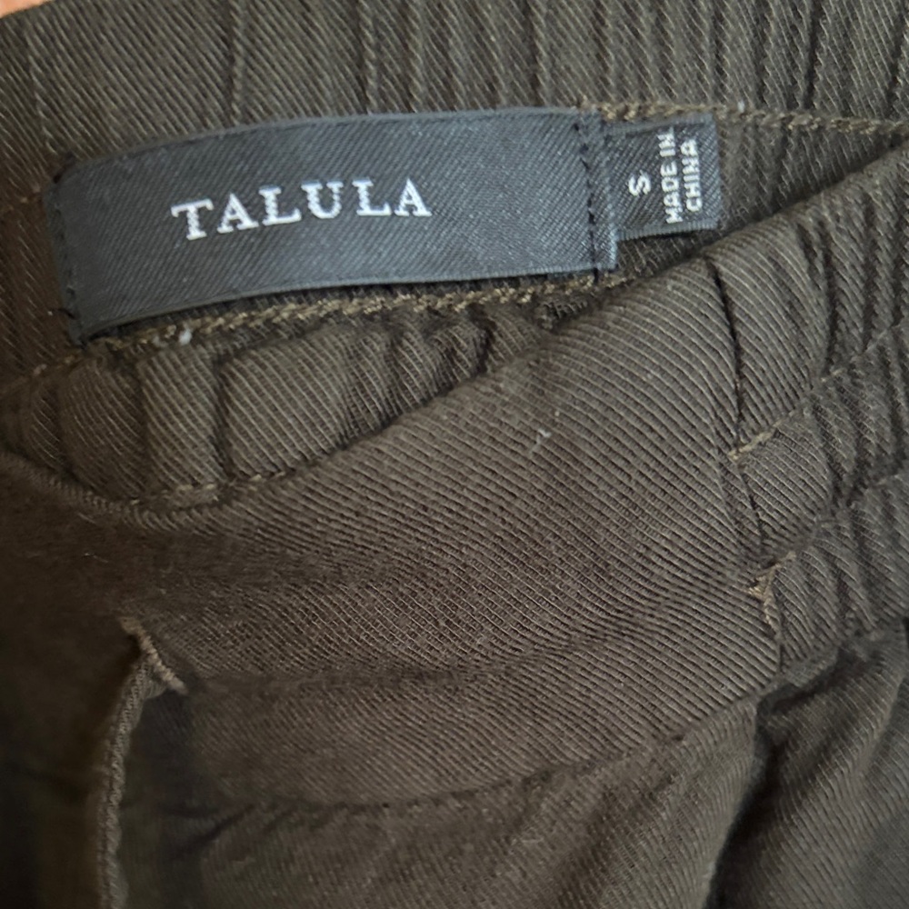 Aritzia jogger style pants